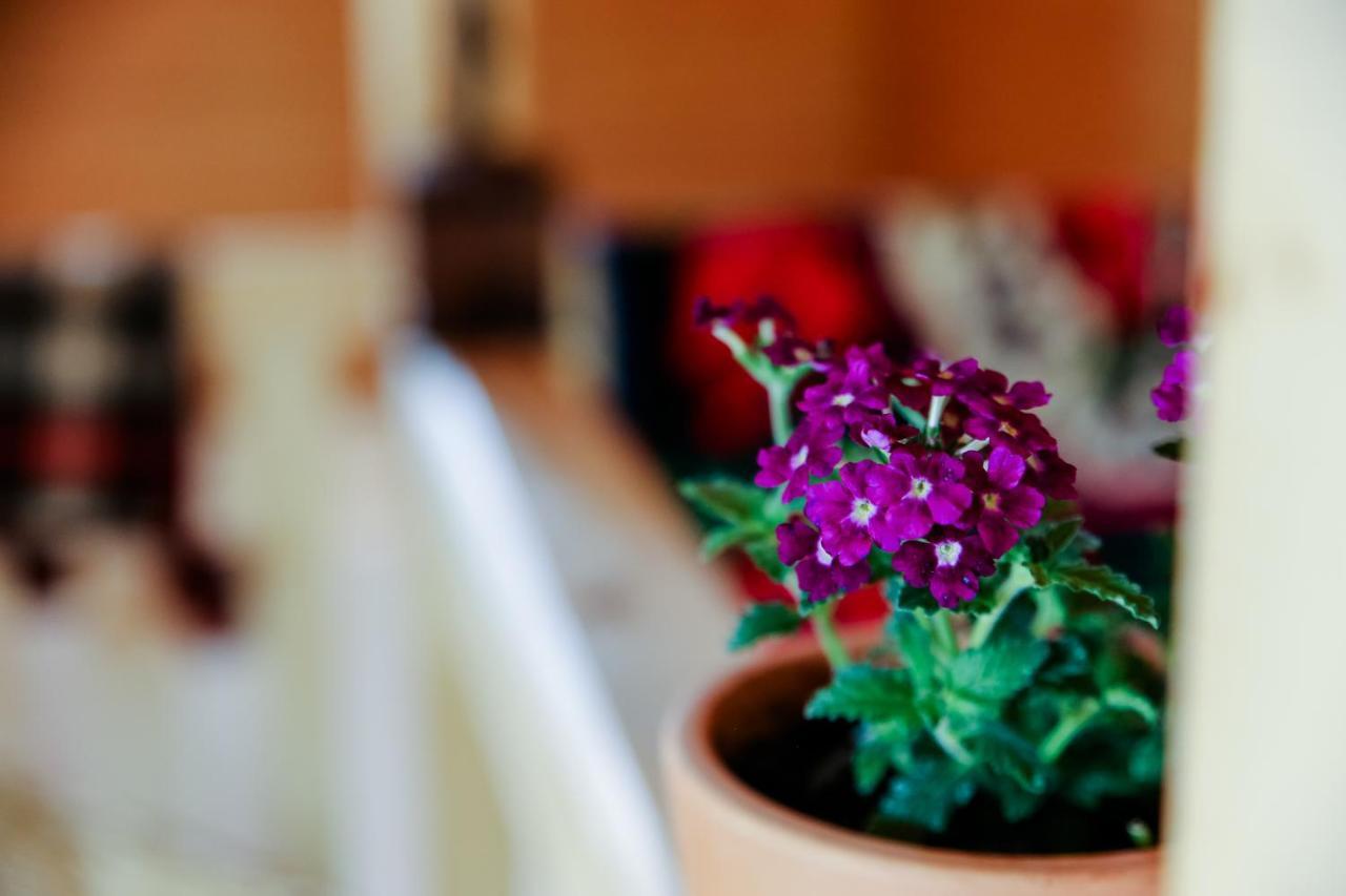 Anahouse Hotel วีเชวเดสซุส ภายนอก รูปภาพ